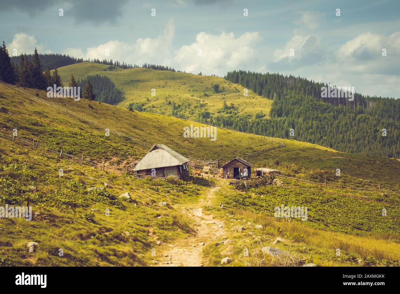 Zwei alte Häuser in den Bergen Karpaten an einem sonnigen Sommertag Stockfoto