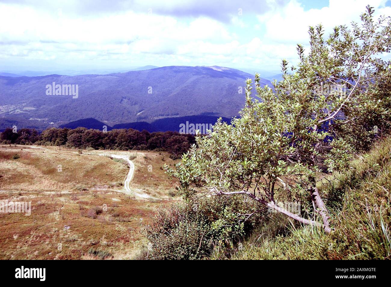 Landschaft von Bergen, Feldern und Bäumen auf der rechten Seite, der Filter Stockfoto