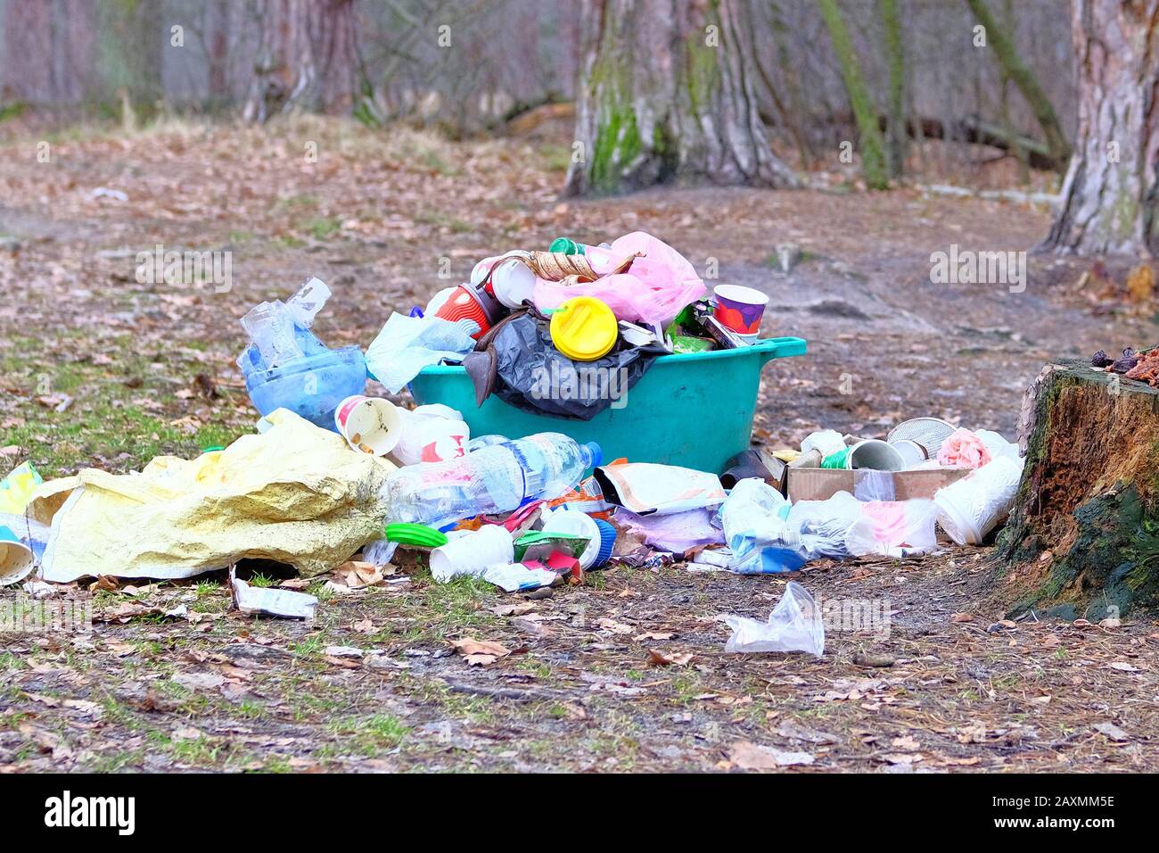 Kontamination der Natur mit Abfallmüll. Kunststoff- und Papiermüll liegt in der Rodung im Wald, in der Nähe. Umweltverschmutzungskonzept. Stockfoto