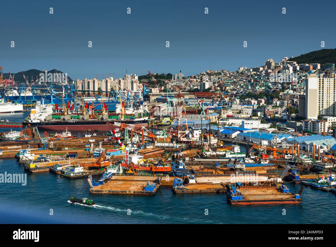 Südkorea, Yeongnam Region, Busan, Busan Hafen mit Blick auf Tug Boat moorings auf der Insel Yeongdo. Stockfoto