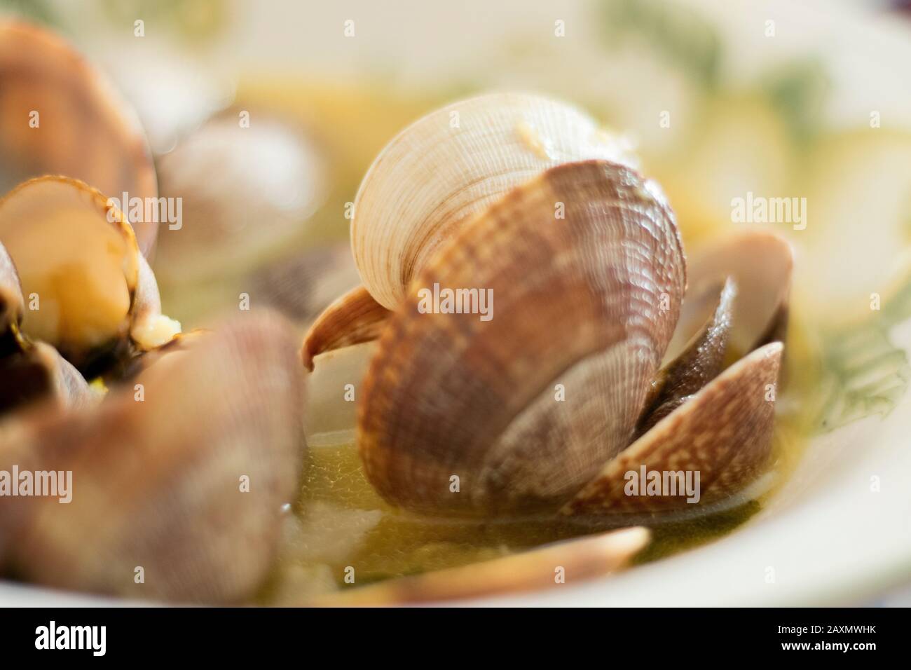 Muschelschalen Detail in Sauce Stockfoto