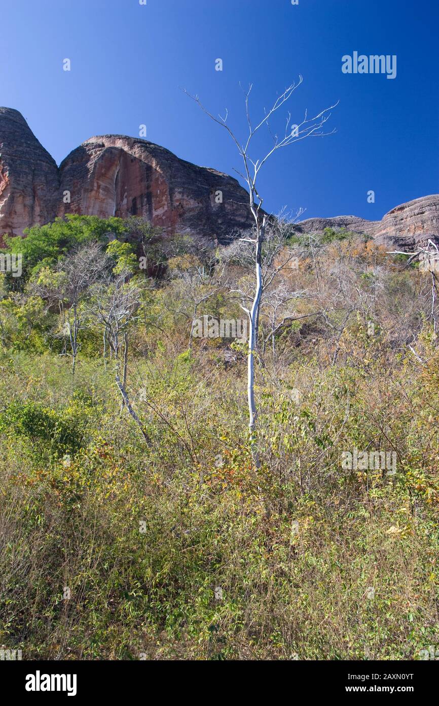 Sedimentärer Rock, Caracol, Piauí, Brasilien Stockfoto