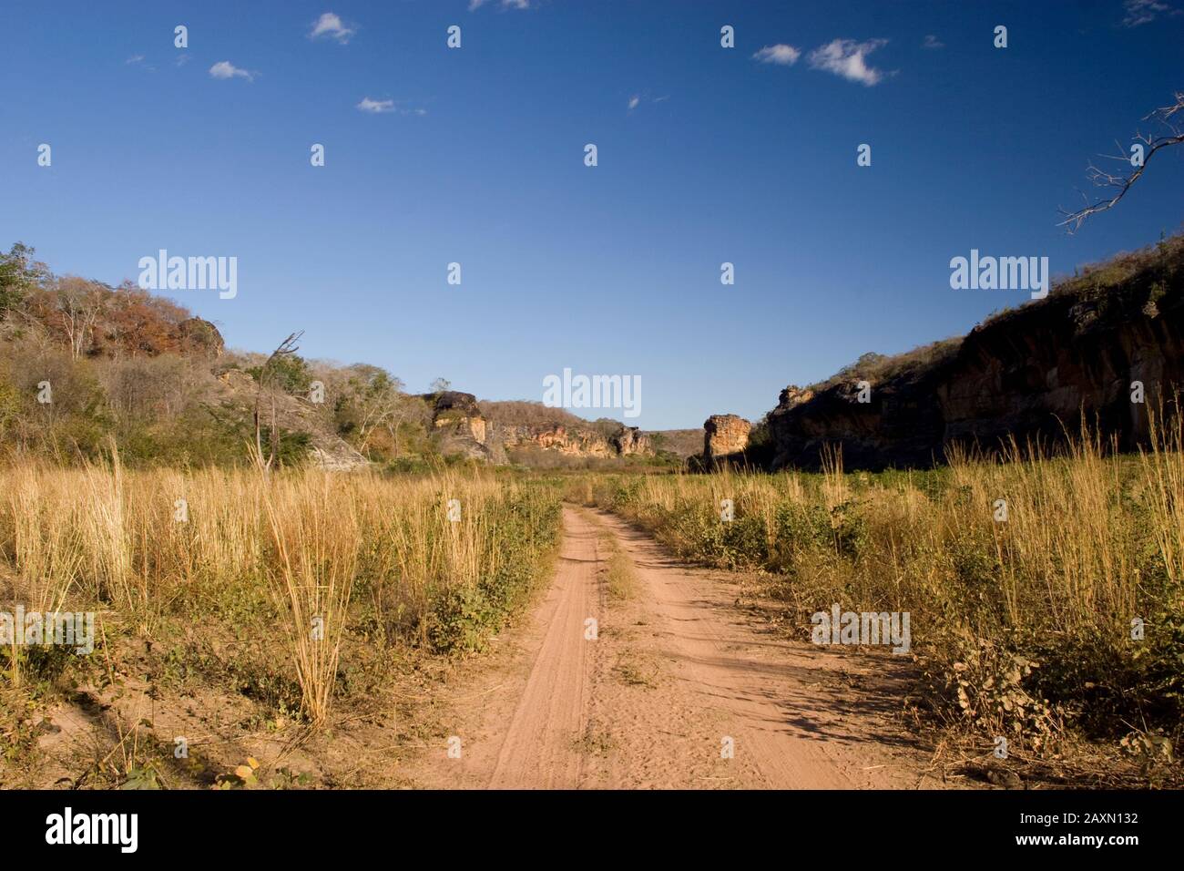 Physiognomie von Savanna und Rocks, Caatinga, Cristino Castro, Japecanga, Piauí, Brasilien Stockfoto