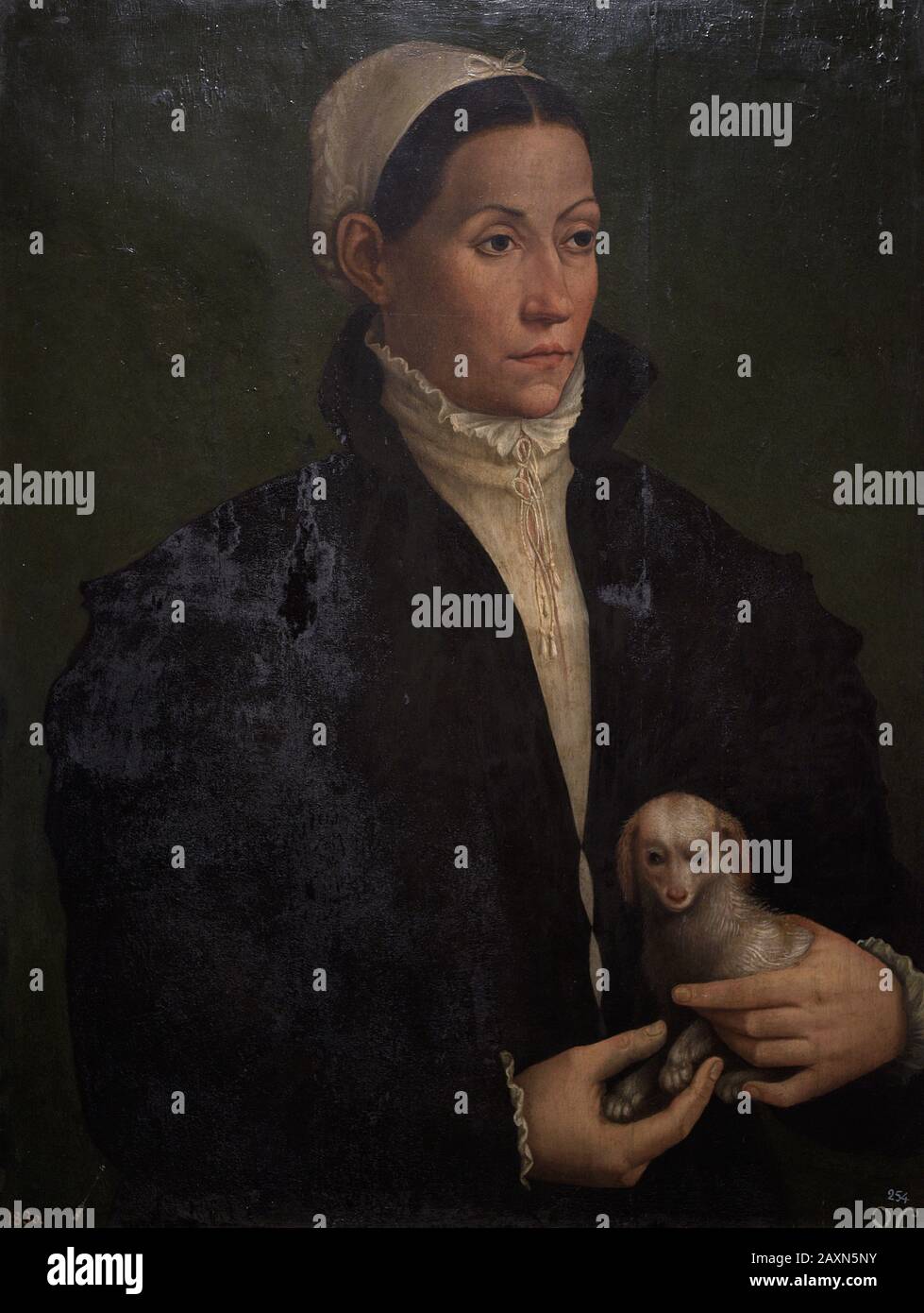 Nicholas Neufchatel (1527-h.1567). Flämischer Maler. Dame mit Hund. Museum der Schönen Künste A Coruña, Galicien, Spanien. (Leihgabe, Prado Museum, Madrid). Stockfoto