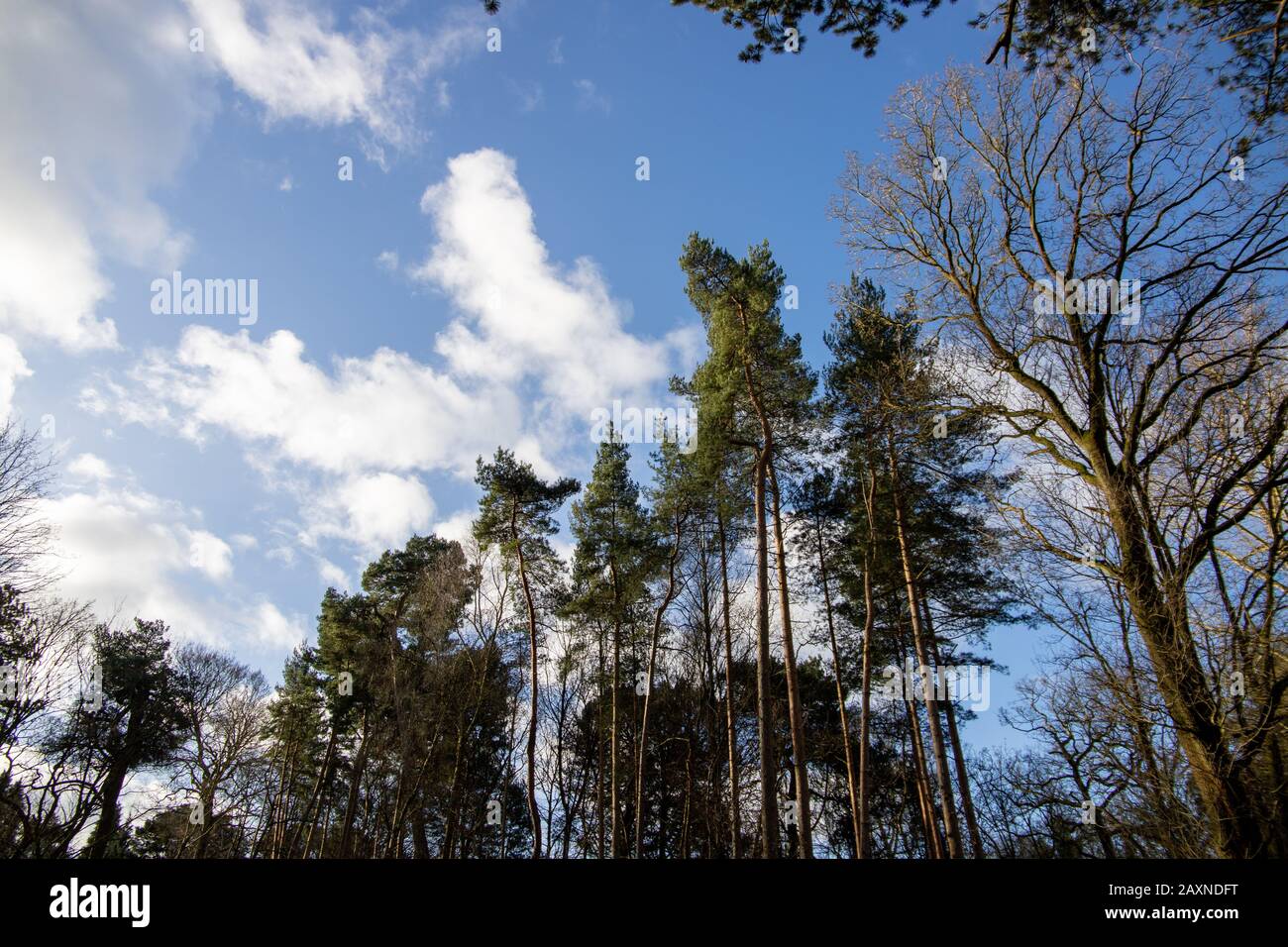 Bramall Hall Innen und Außen Stockfoto