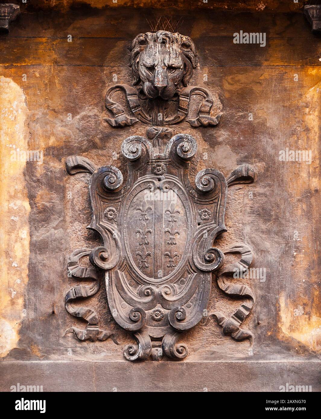 Altes heraldisches Emblem mit Lilie und Stern-Markus-Löwenkopf an einer Venedig-Wand Stockfoto