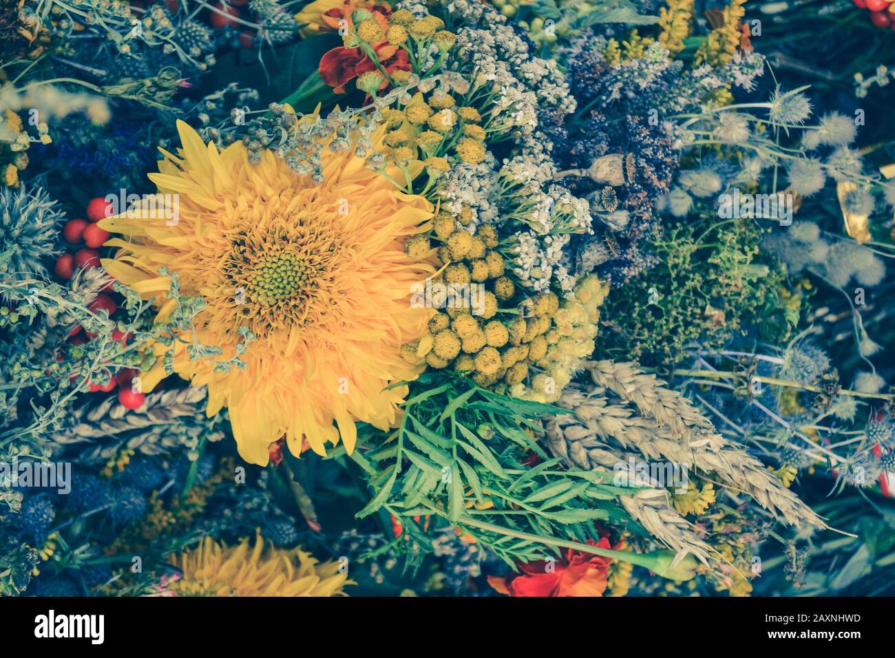 Hintergrund großer gelber Blumen und kleiner Blumen, Filter, Stockfoto