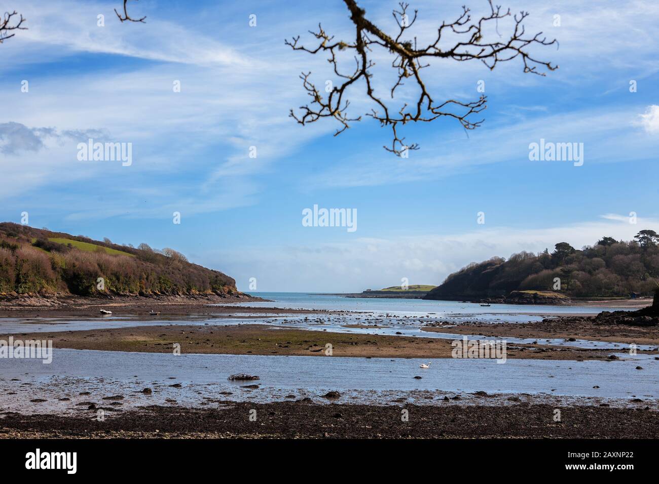 Gillan Harbour und Creek bei Ebbe, von St. Anthony-in-Meneage mit Blick auf Gillan Stockfoto