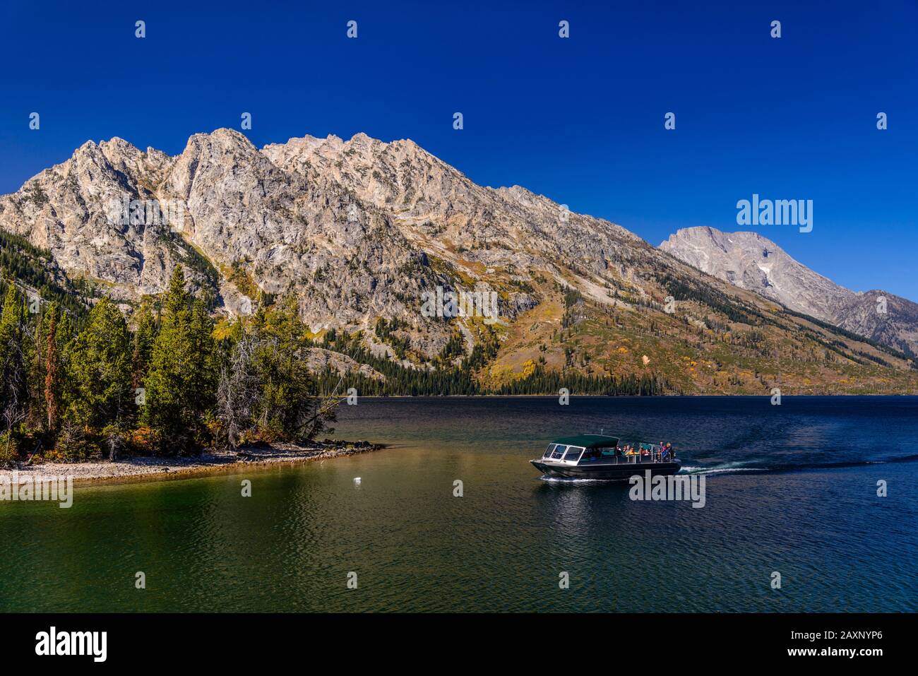 USA, Wyoming, Grand Teton Nationalpark, Moose, Jenny Lake vor dem Rockchuck Peak Stockfoto