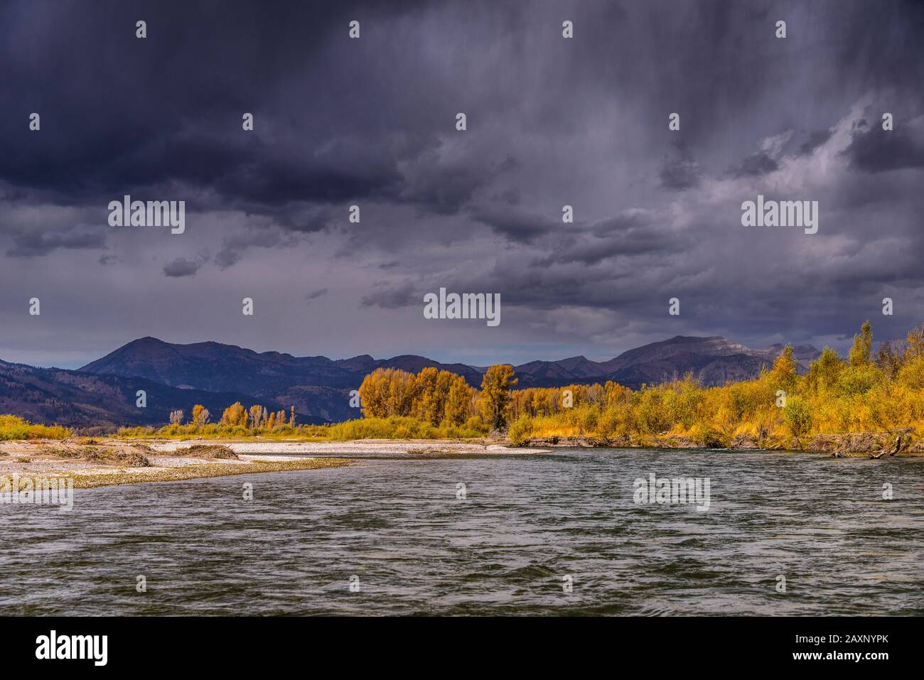 USA, Wyoming, Jackson Hole, Jackson, Snake River, Gummi-Schlauchboot-Tour Stockfoto