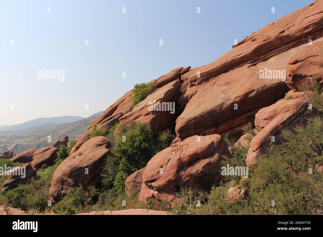 Große Felsformationen aus rotem Sandstein mit Sträuchern, die in den Rissen auf dem Trading Post Trail im Red Rocks State Park, Morrison, Colorado wachsen Stockfoto