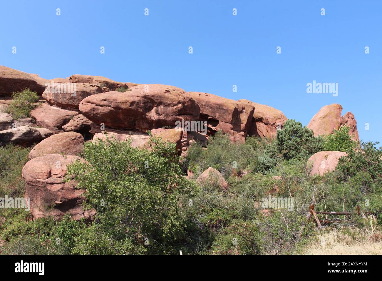 Auf dem Trading Post Trail im Red Rocks State Park, Morrison, Colorado, werden große Felsformationen aus rotem Sandstein mit Sträuchern und Bäumen überwuchert Stockfoto
