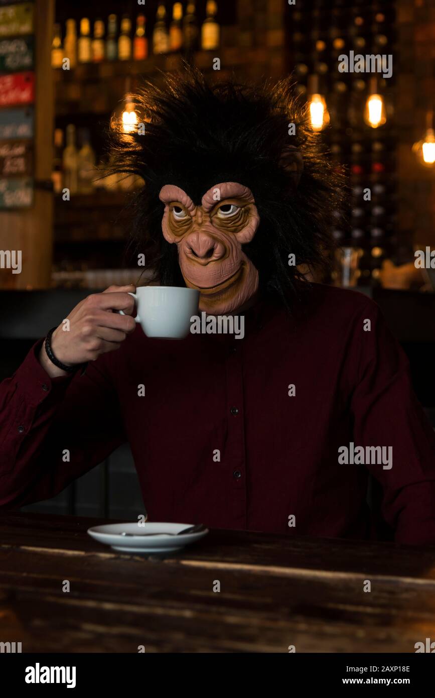 Mann mit Affenmaske im Café, Halbporträt Stockfoto