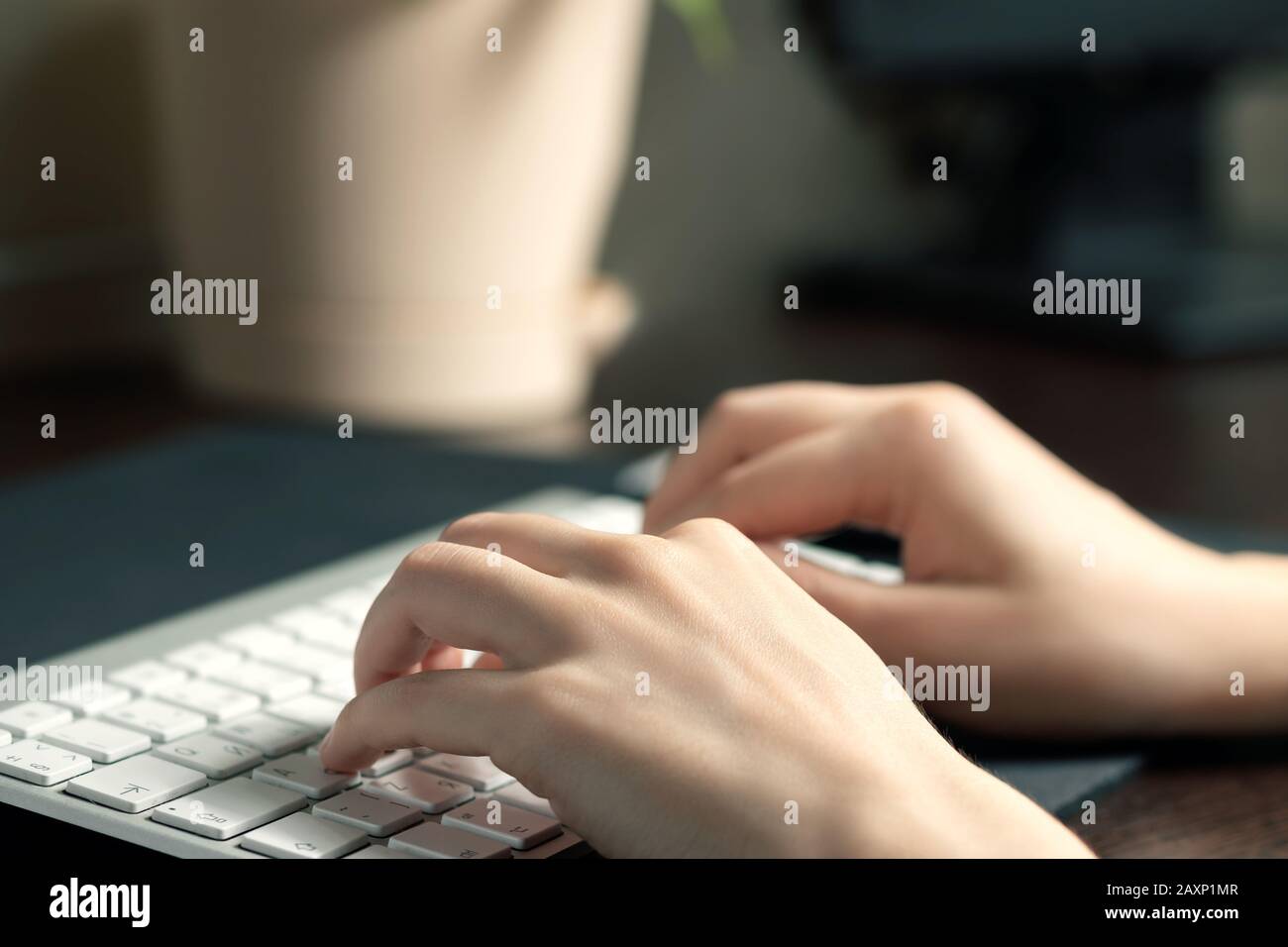Mädchen arbeitet zu Hause am Computer. Weibliche Hände tippen auf die Tastatur. Stockfoto
