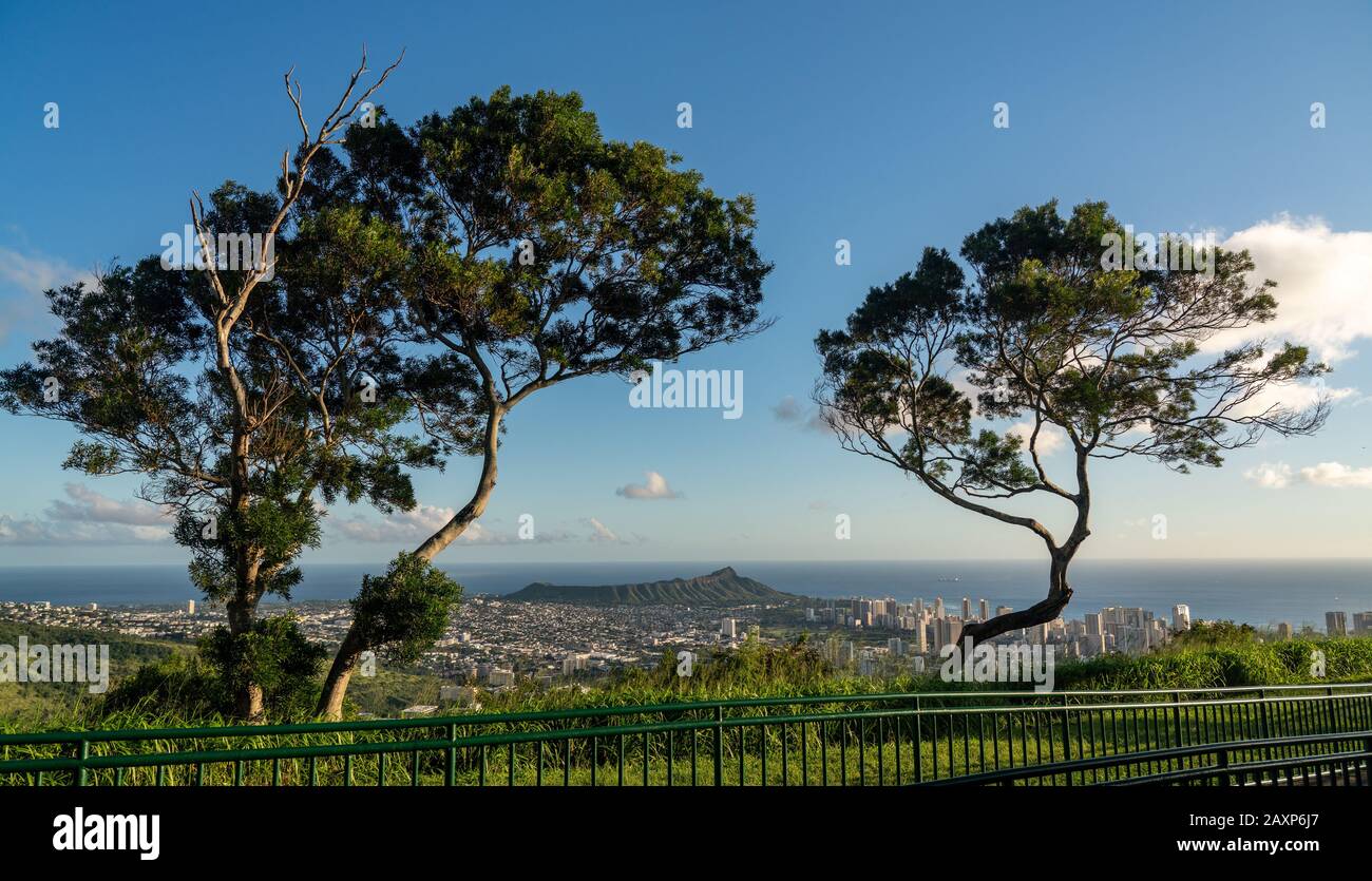 Die Bäume umrahmen das Panorama über Waikiki, Honolulu und Diamond Head vom Tantalus Overlook auf Oahu, Hawaii Stockfoto