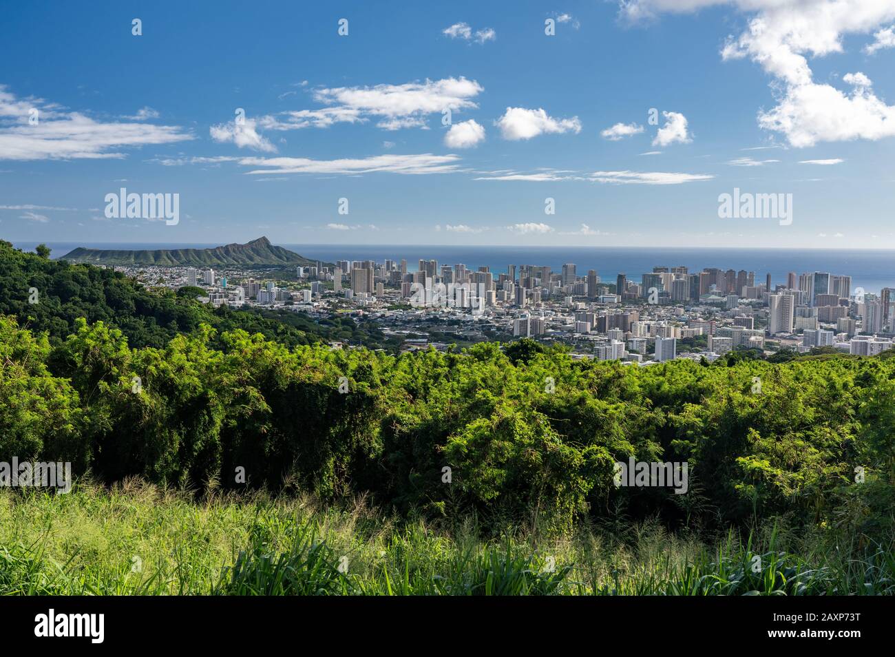 Das breite Panoramabild von Waikiki, Honolulu und Diamond Head vom Tantalus Blickt Auf Oahu, Hawaii Stockfoto