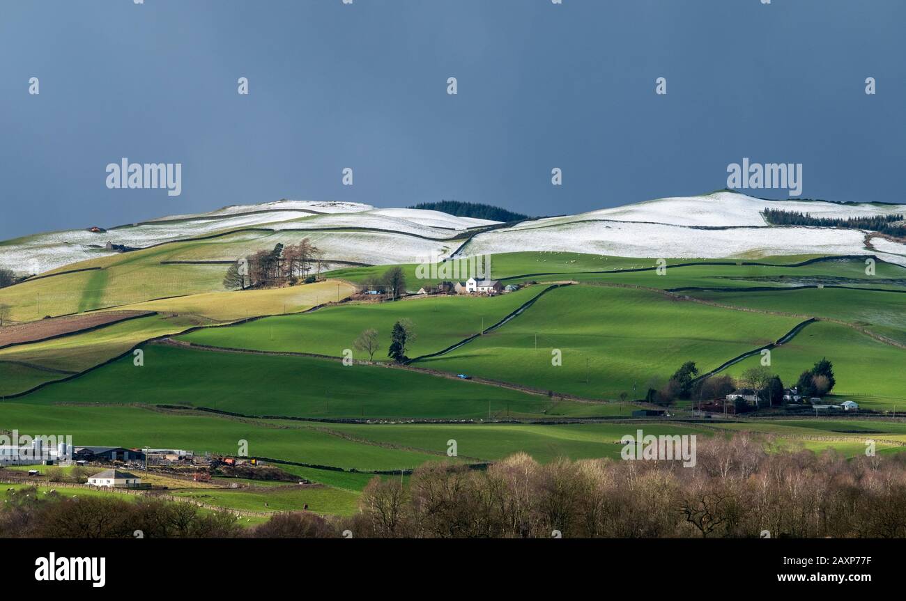 Schneebedeckte Hügel und Ackerland in der Nähe von Auldgirth, Dumfries and Galloway, Schottland. Stockfoto