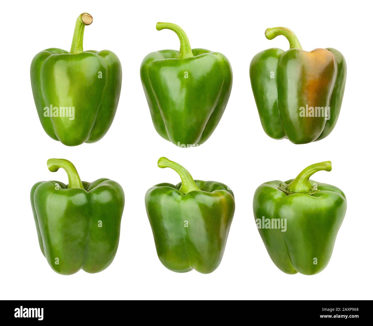 Grüner Paprikapfad isoliert auf weiß Stockfoto