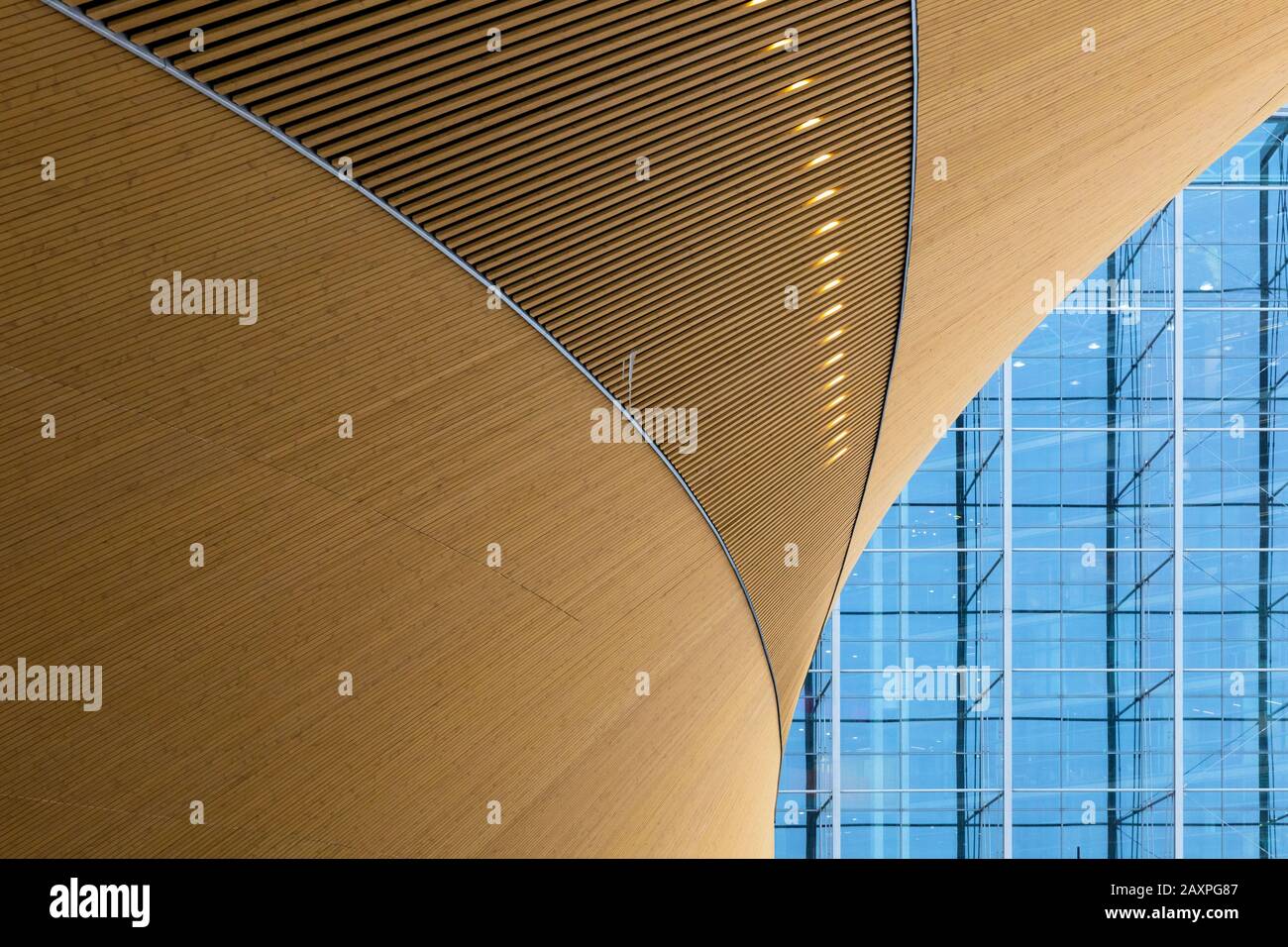 Finnland, Helsinki, Bibliothek, ooodi, Detail Stockfoto