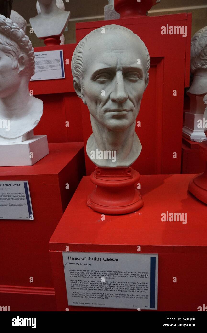 Besetzung einer Büste von Julius Cäsar, gekennzeichnet als "wahrscheinlich eine Fälschung", Museum of Classical Archaeology, Cambridge Stockfoto