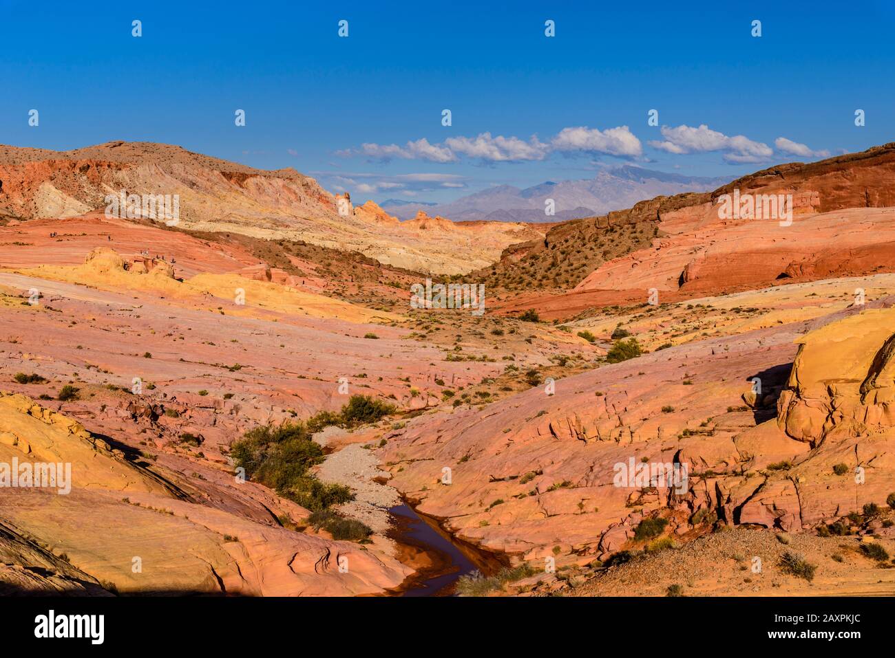 USA, Nevada, Clark County, Overton, Valley of Fire State Park, Pink Canyon Stockfoto