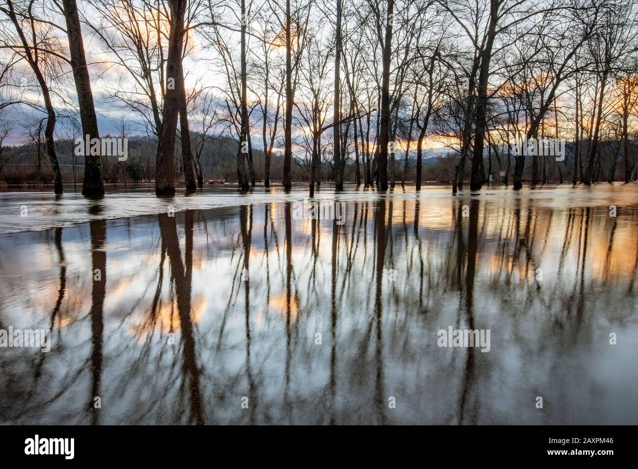 Überschwemmte Waldspiegelungen bei Sonnenuntergang, die durch den französischen Broad River entstanden sind, der nach starken Regenfällen seine Ufer überflutete. Hap Simpson Park, Brevard, North Carol Stockfoto