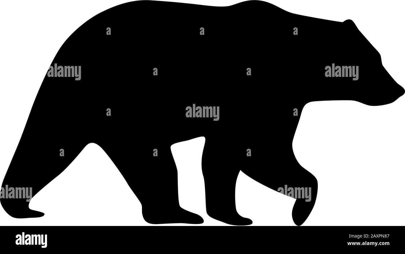 Die Silhouette des Vektor-Bärensymbols ist auf weiß isoliert Stock Vektor