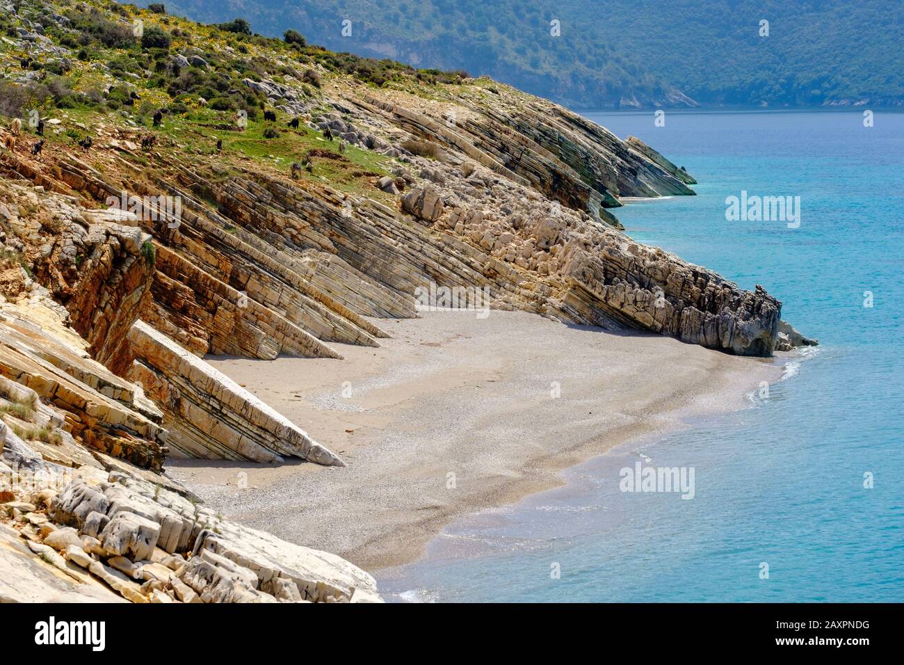 Sandige Bucht, Küste südlich von Lukova, albanische Riviera, Ionische See, Qark Vlora, Albanien Stockfoto