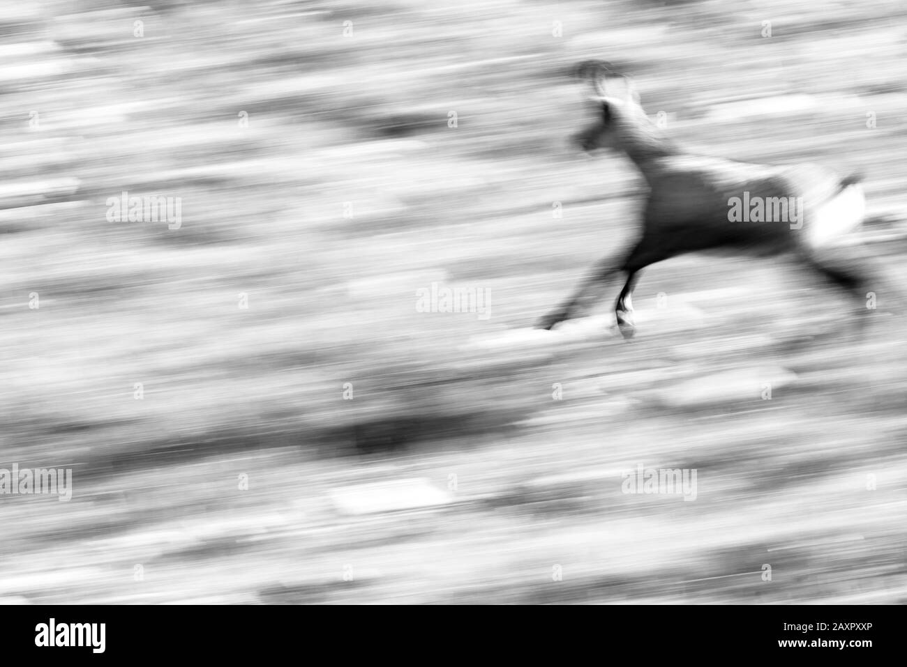 Bild einer laufenden Gesimse abwischen Stockfoto