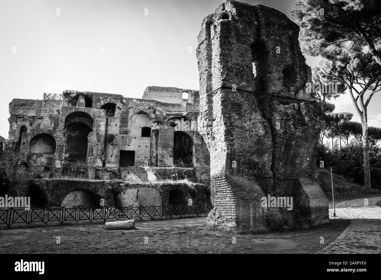 Eine Tour durch das Forum Romanum, Rom Stockfoto