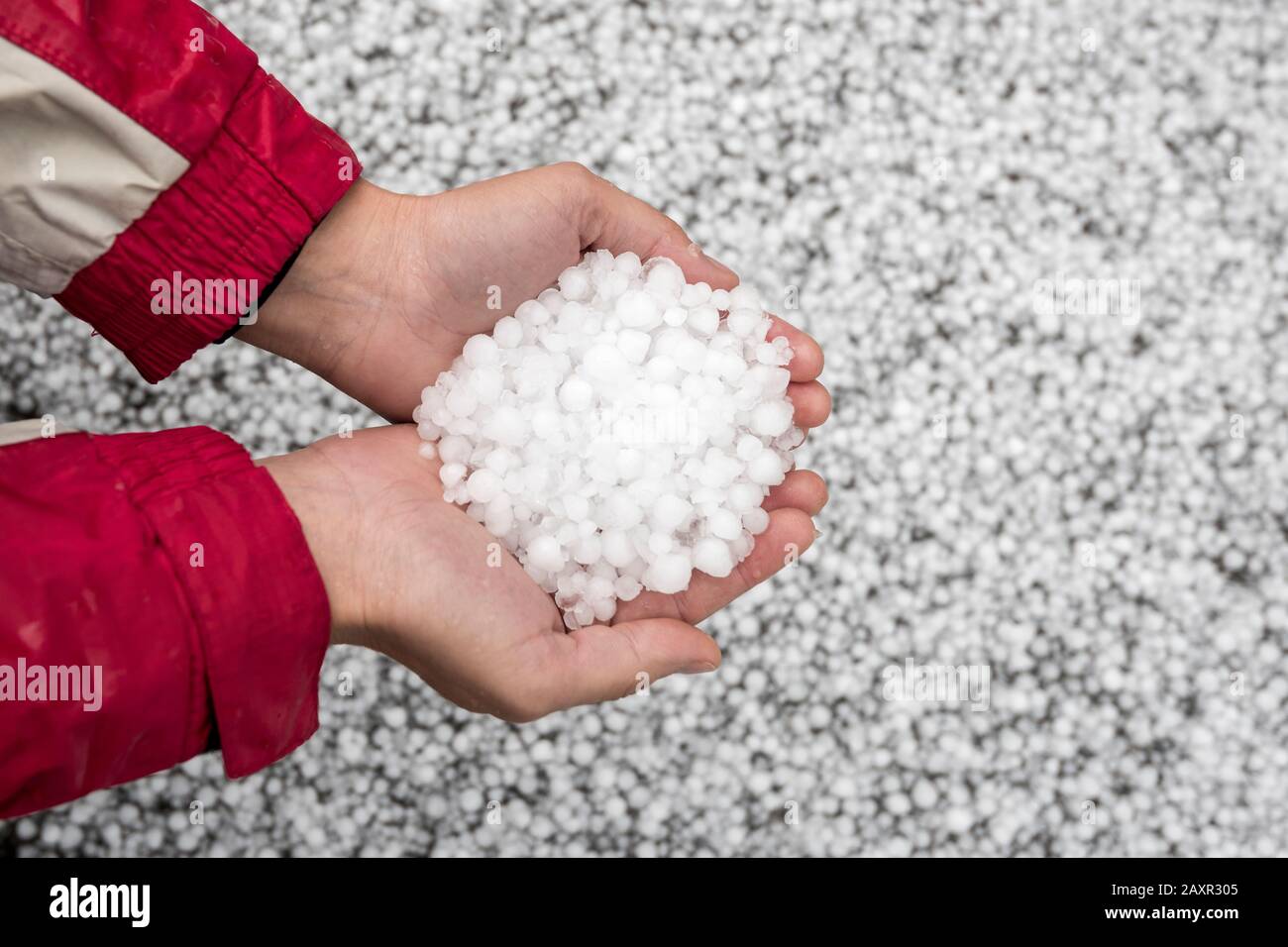 Zwei Hände halten eine Hand voller Hagelsteine Stockfoto