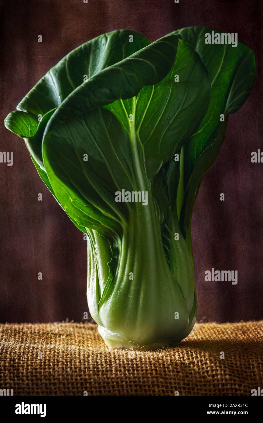 Chinesische Bok Choy Kohlkohl. Stockfoto