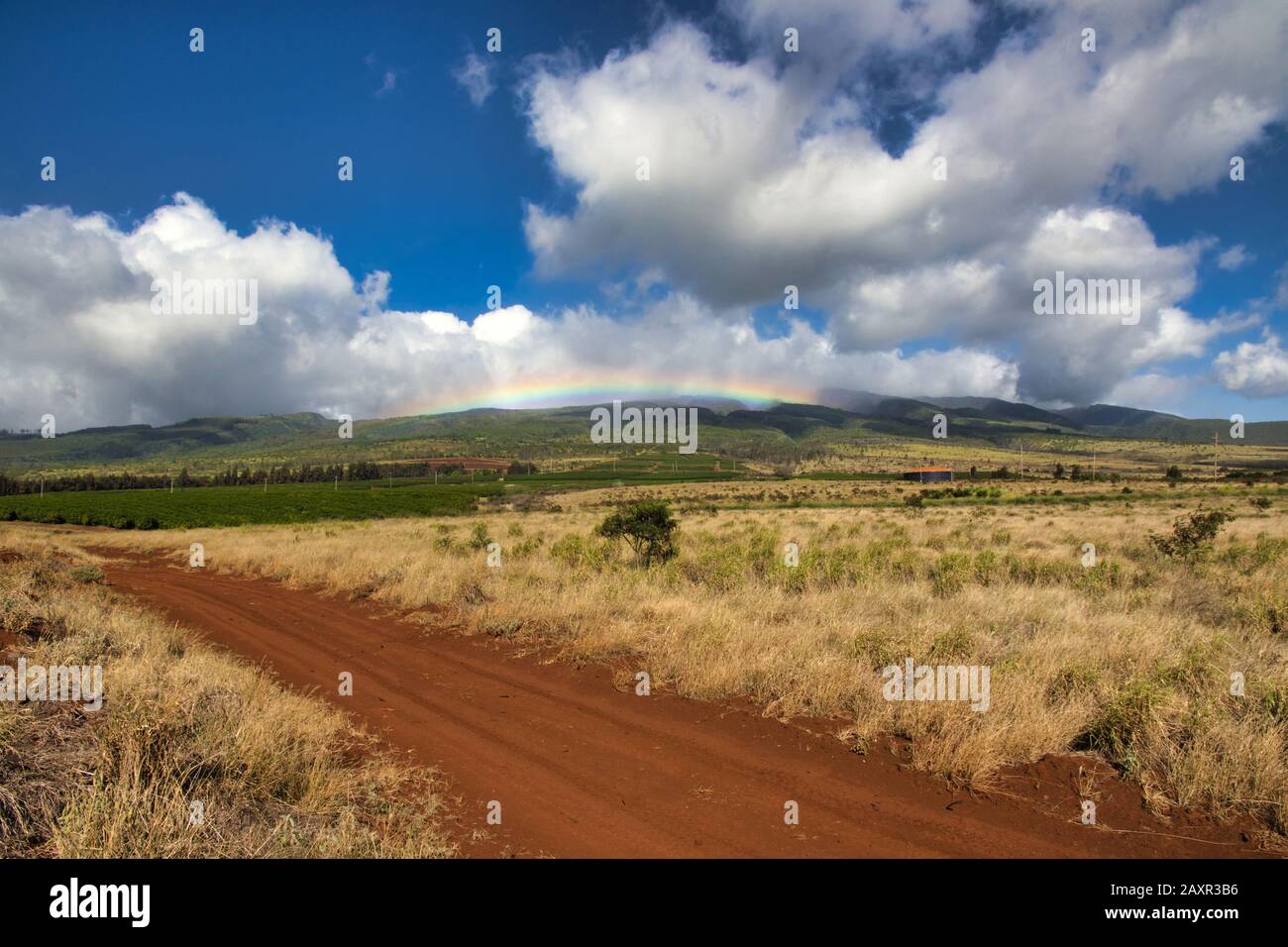 Blick auf einen fernen Regenbogen von einer roten Feldstraße auf der Insel Maui. Stockfoto