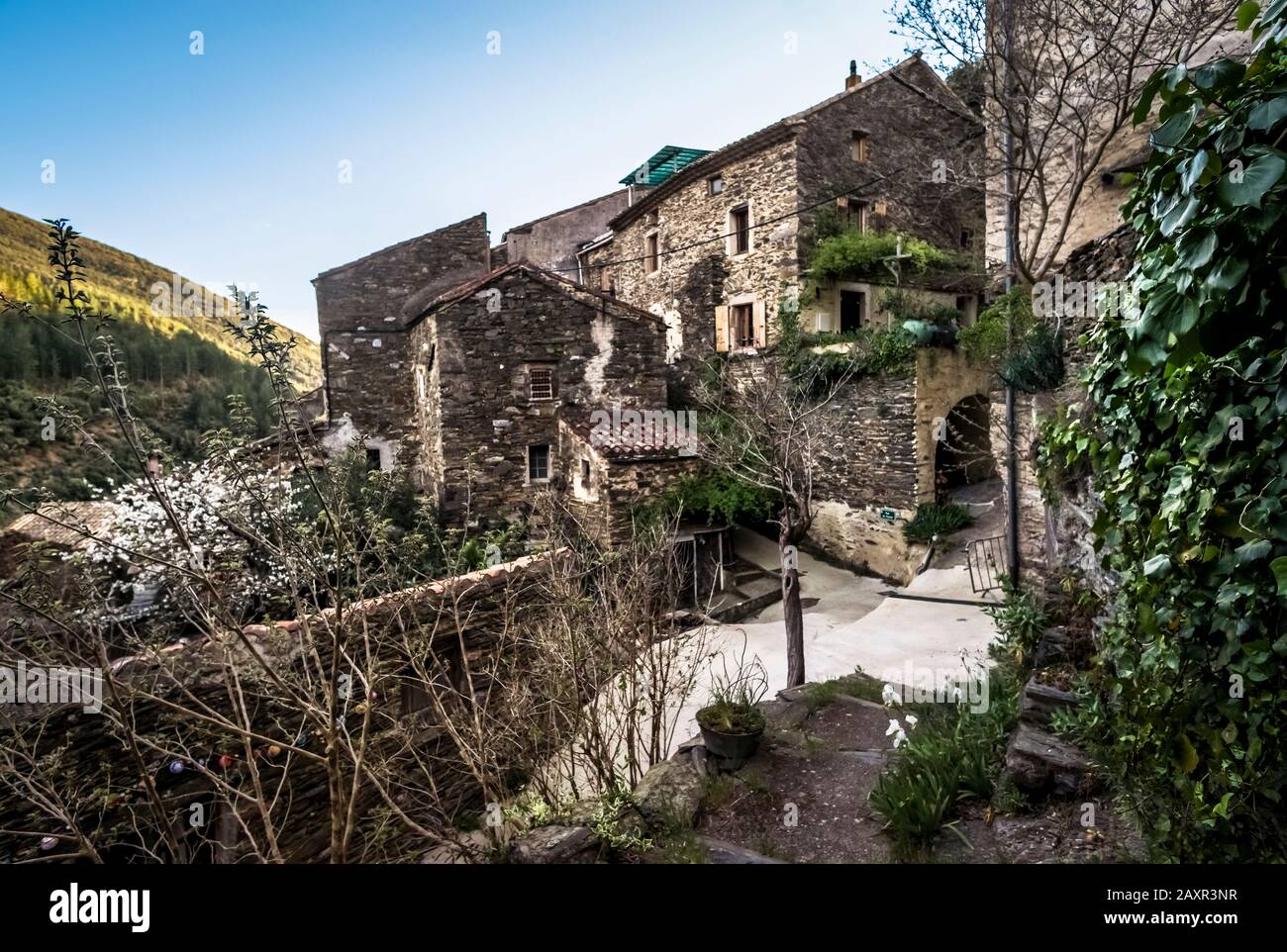 Dorf in der Nähe von Roquebrun. Der Weiler liegt direkt auf dem schwarzen Schiefer des Berges. Die Häuser bestehen aus demselben Material. Stockfoto