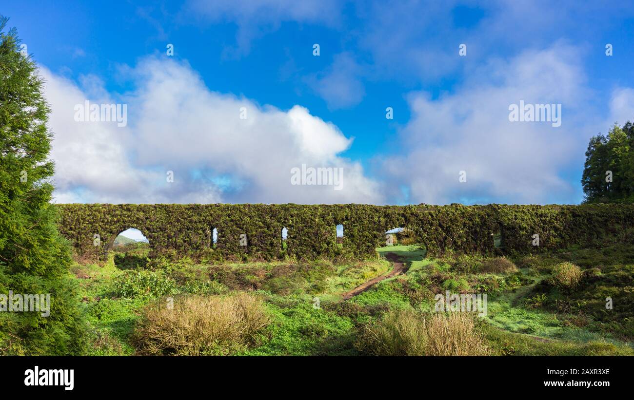 Historisches Kohleedukt mit Pflanzen und Moosen in Sao Miguel, Azoren, Portugal Stockfoto