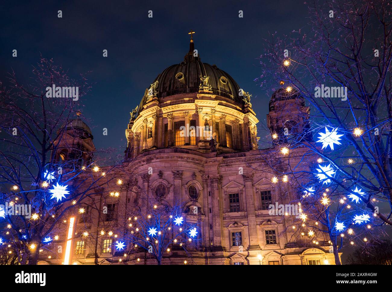 Berlin, Berliner Dom, Spreeufer, Promenade, Poinsetttias Stockfoto