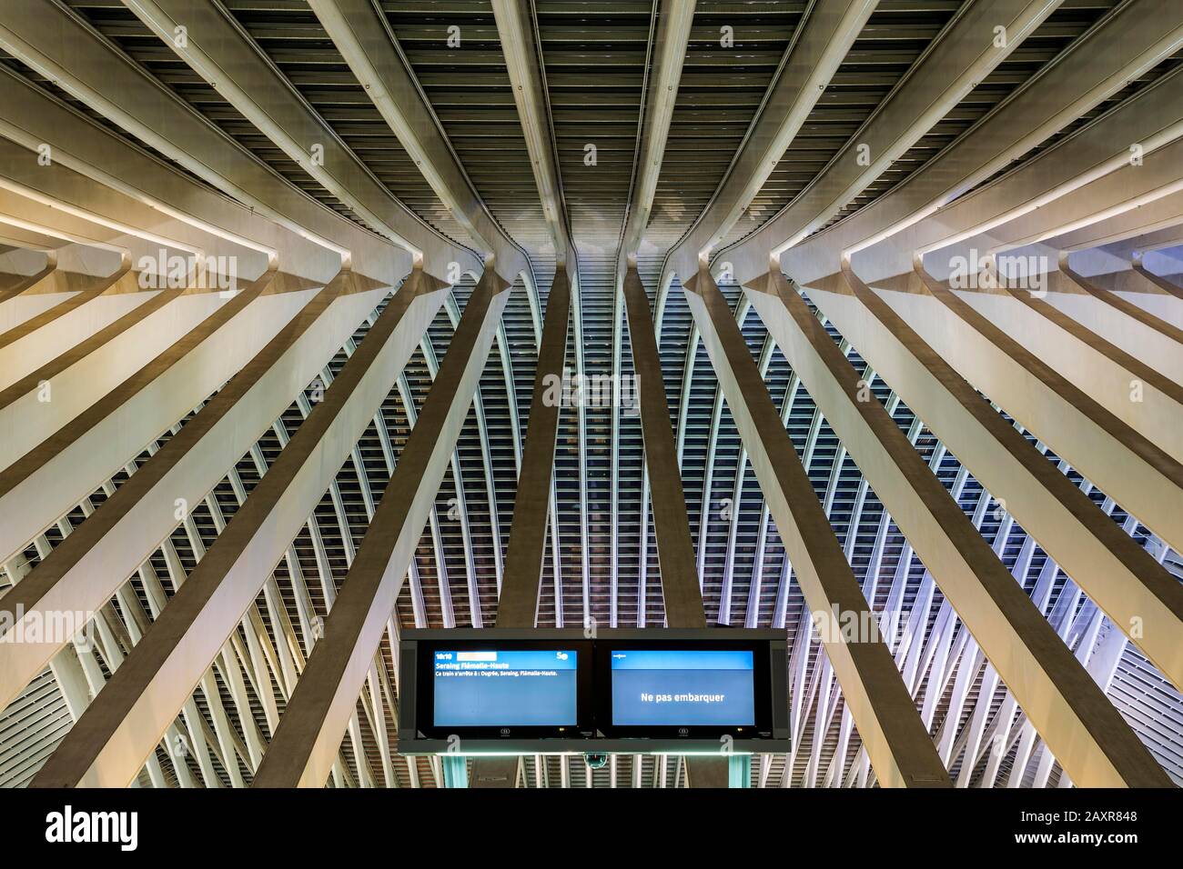 Dachdetails im Bahnhof Liège, Gare de Liège-Guillemins, entworfen vom spanischen Architekten Santiago Calatrava, Nachtfoto, Liège, Wallonisch Stockfoto