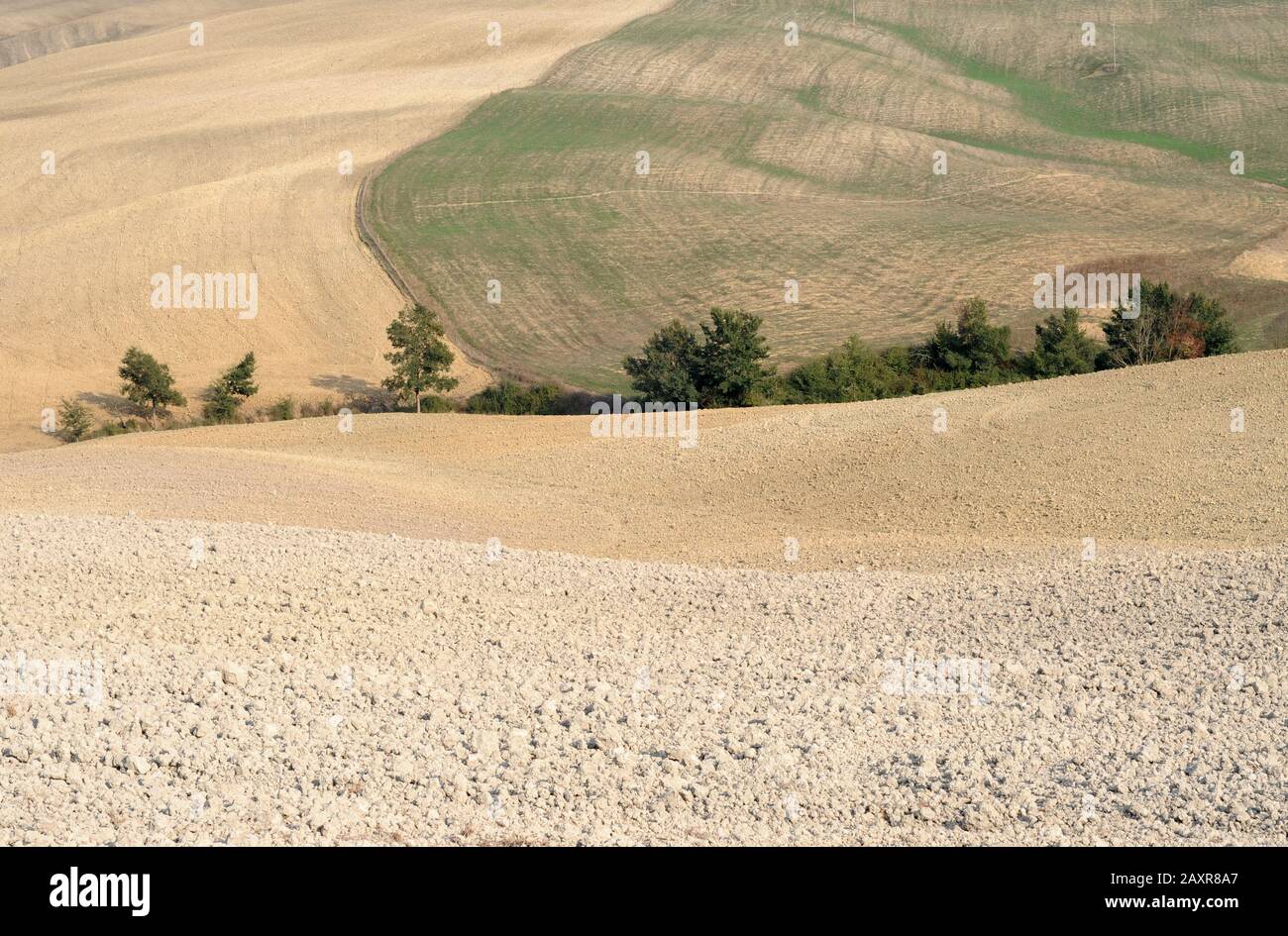 Wellige Felder in verschiedenen Phasen der Vorbereitung auf den Winter in der Toskana, Italien Stockfoto