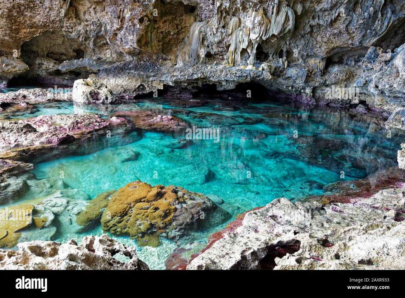 Schwimmbad und Schnorchelbecken an der Nordwestküste der Pazifikinsel Niue. Stockfoto