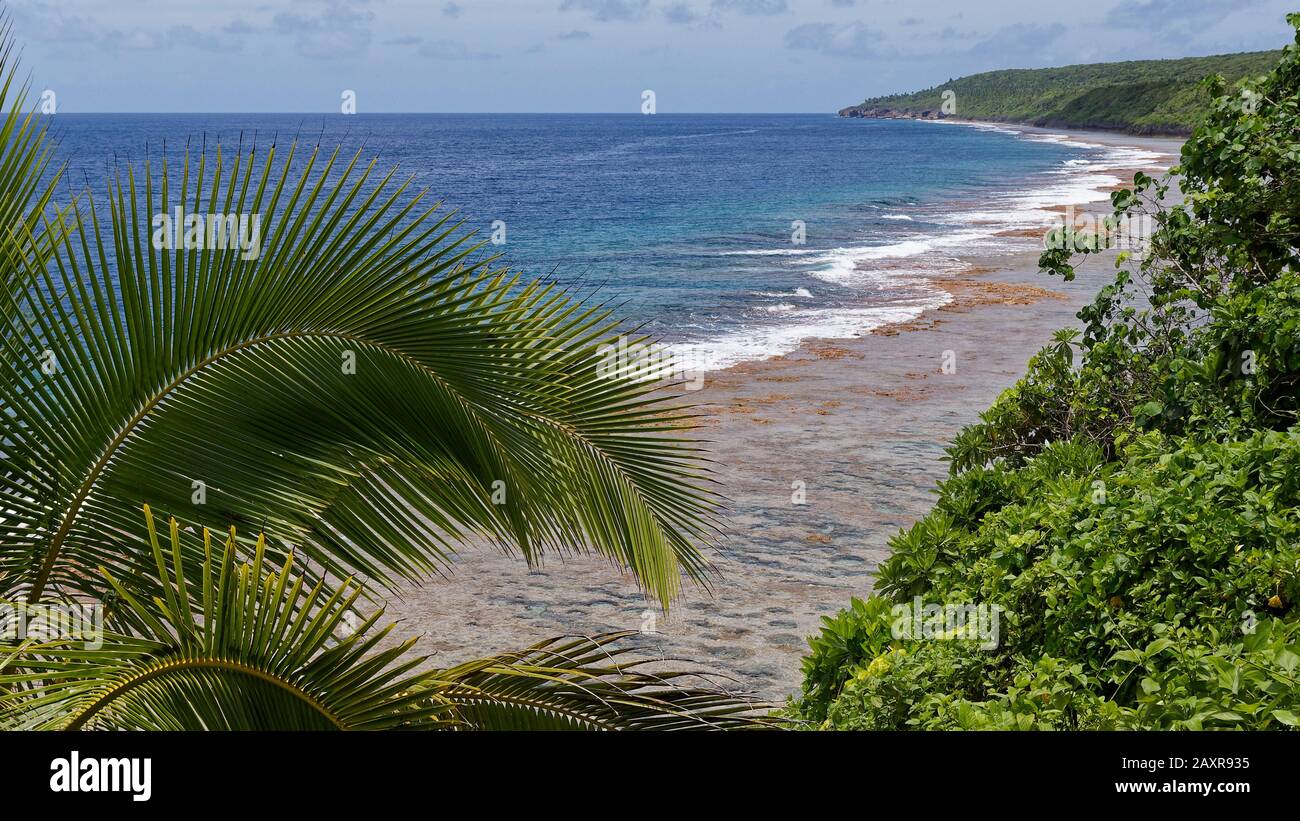 Die Küste blickt westwärts über Korallenriffe an der Sough-Küste der Pazifikinsel Niue. Stockfoto