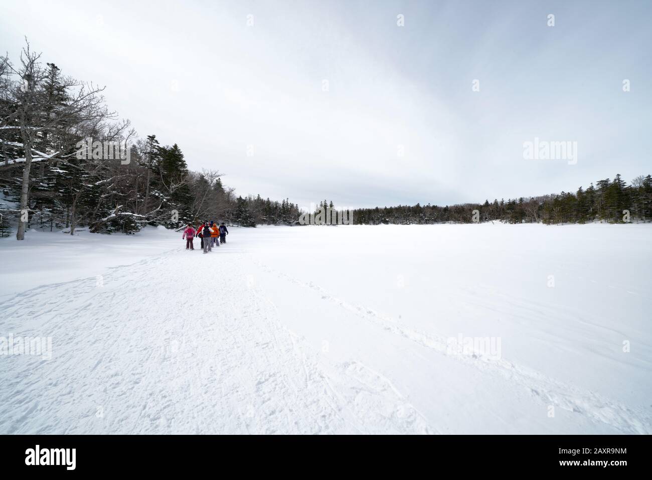 Wanderer, die im Winter durch schneebedeckte Shiretoko Five Lakes, Hokkaido, Japan, wandern Stockfoto