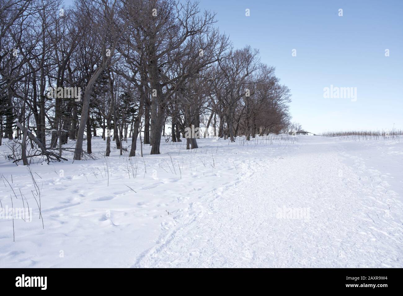 Wandern im Schnee zur Aussichtsplattform der Furepe Falls im Winter, Shiretoko, Hokkaido, Japan Stockfoto