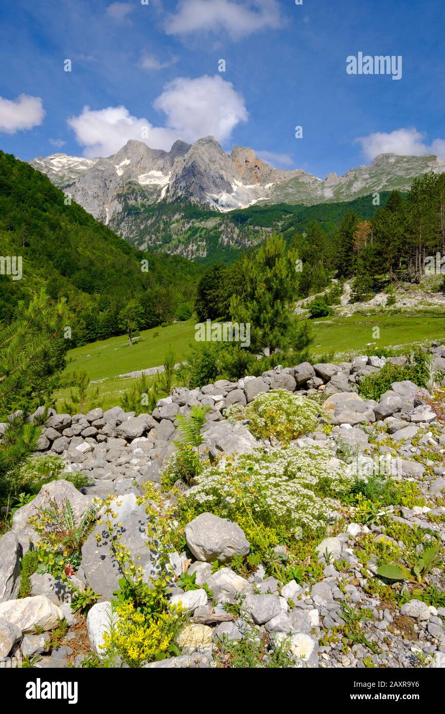 Kukaj-Tal, Nationalpark Valbona, Albanische Alpen, Prokletije, Qar Kukes, Albanien Stockfoto
