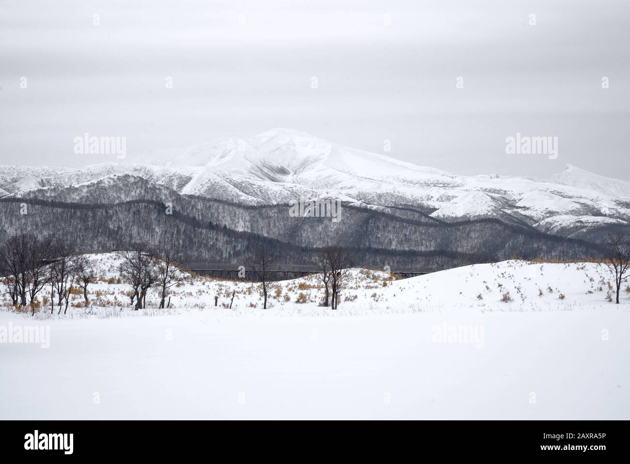 Wandern durch schneebedeckte Shiretoko Five Lakes im Winter mit Shiretoko Mountain Range und Aussichtsplattform im Hintergrund, Hokkaido, Japan Stockfoto
