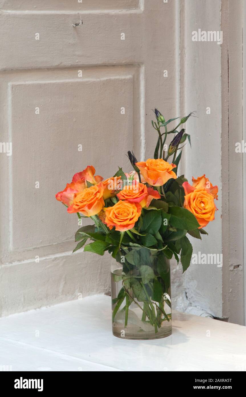 Vase mit Rosen in einem Schaufenster in Stockholm, Schweden Stockfoto