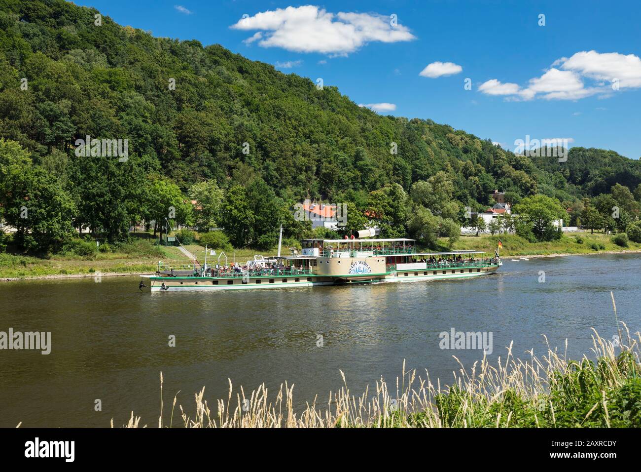 Historische Raddampfer auf der Elbe, Nationalpark Sächsische Schweiz, Sachsen, Deutschland Stockfoto