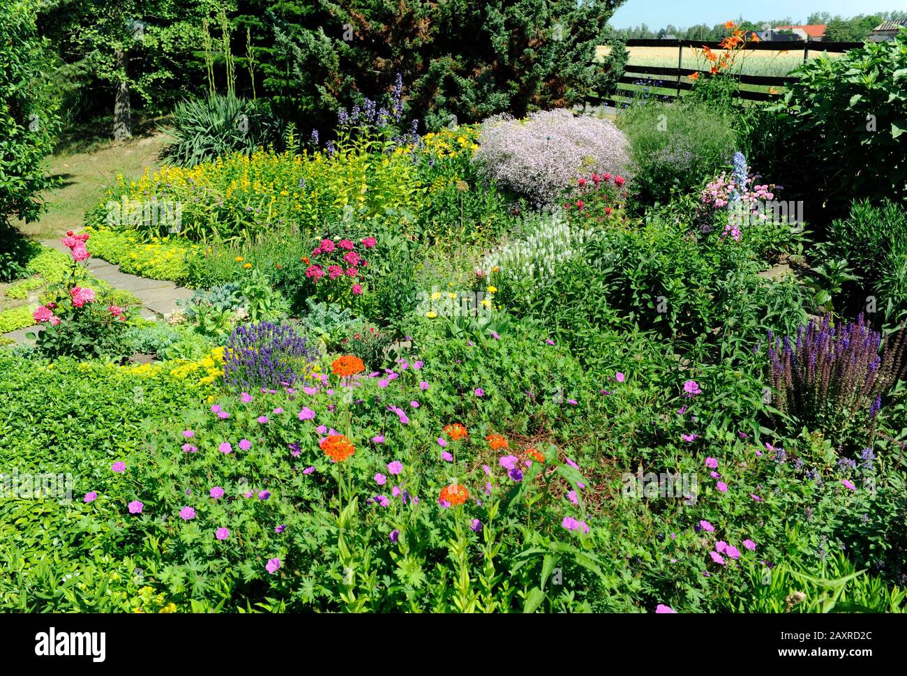 Bauerngarten mit bunten Sommerblumen und blühenden Sträuchern Stockfoto