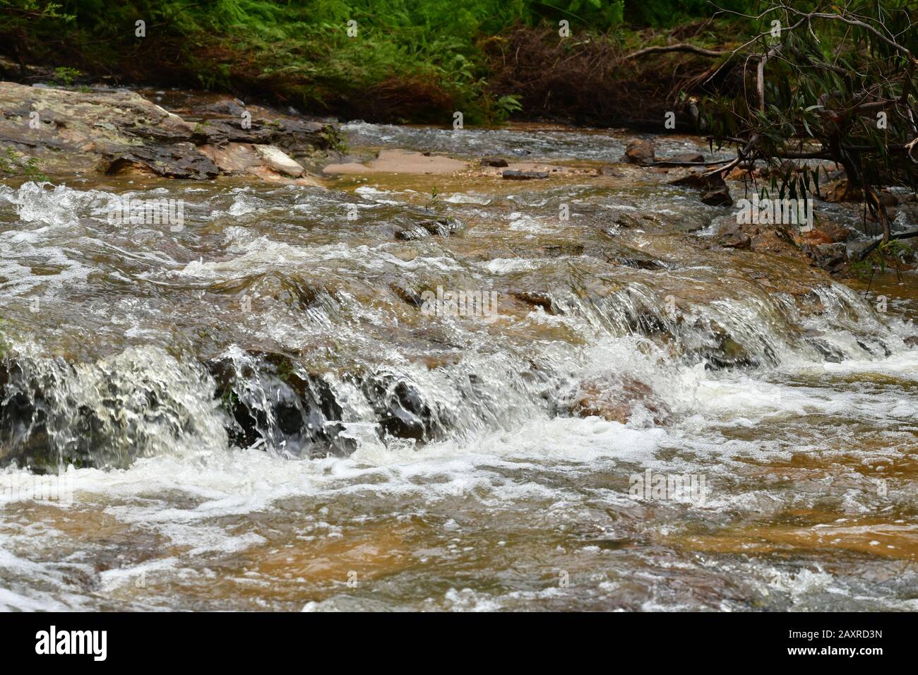 Wasser fließt über ein Schelfeis in einem Bach in der Nähe der Wentworth Falls Stockfoto