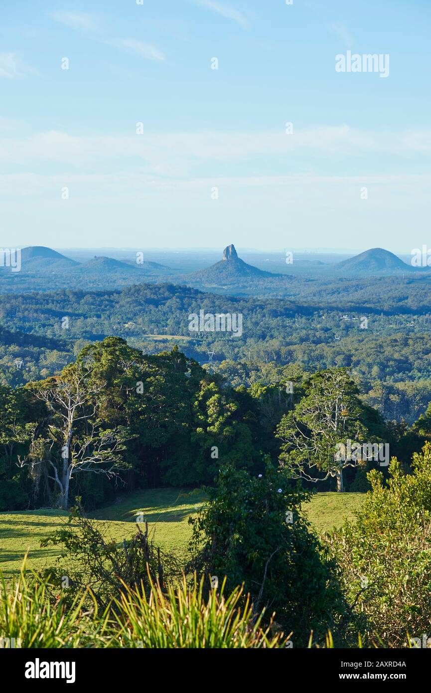 The Glass House Mountains am Morgen, aus Richtung Mary Cairncross Scenic Reserve, Queensland, Australien Stockfoto