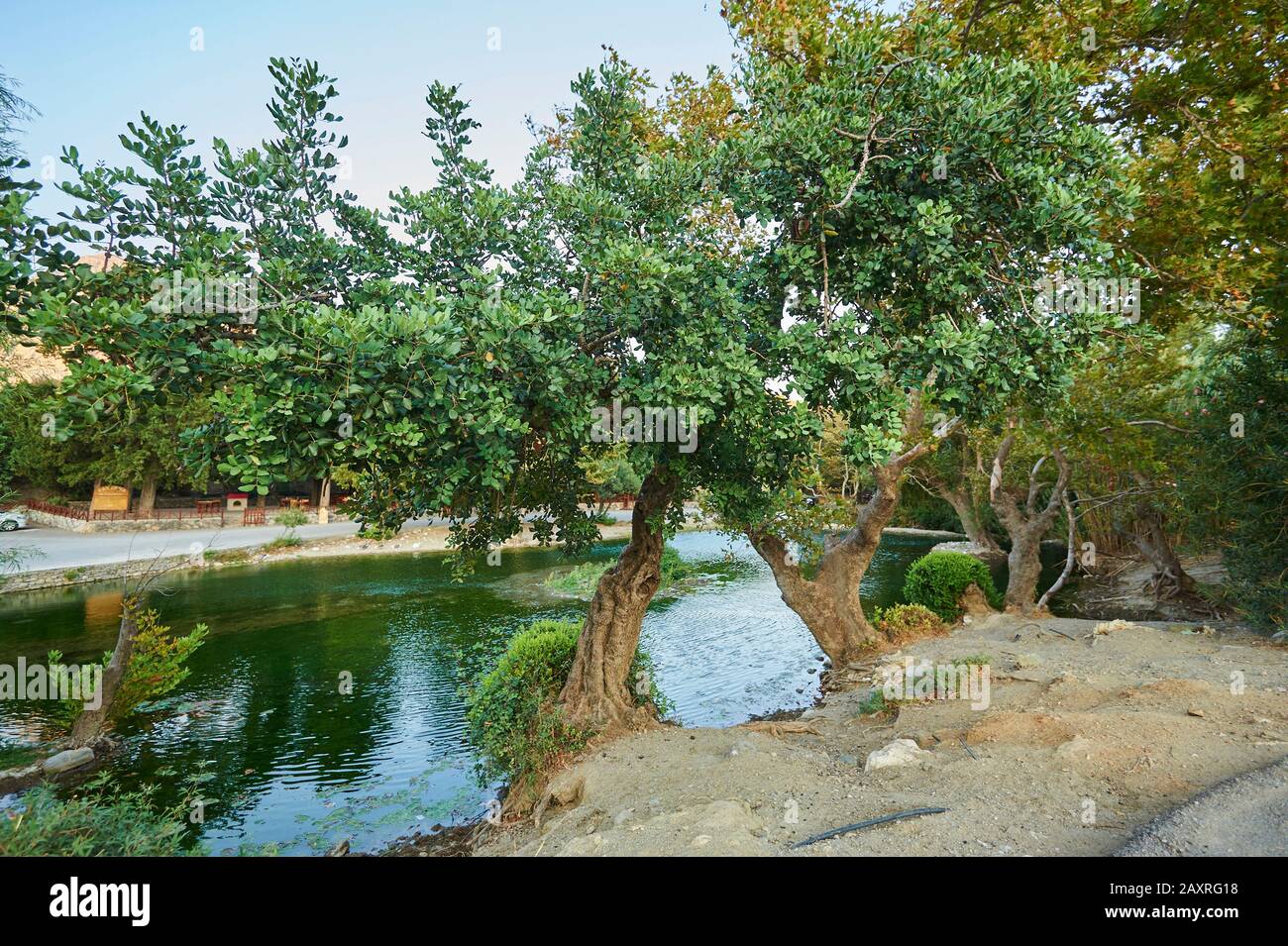 Landschaft der Lagune von Preveli, Teich, Crete, Griechenland Stockfoto